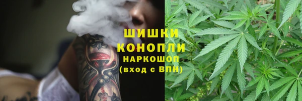 твердый Алзамай