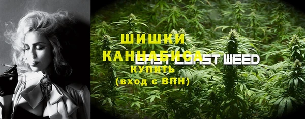 твердый Алзамай