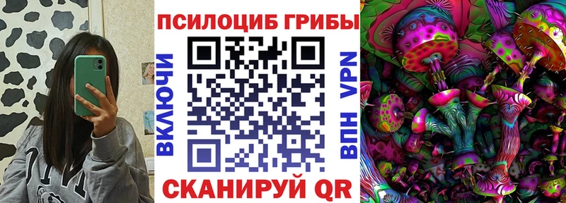 где купить   Макушино  Галлюциногенные грибы прущие грибы 